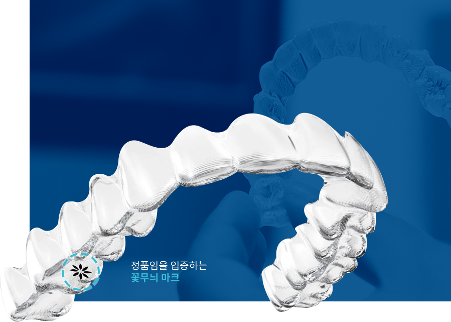 인비절라인 치료과정